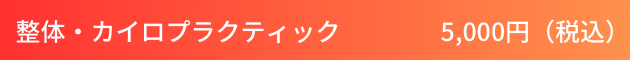 整体・カイロプラクティック　5000円