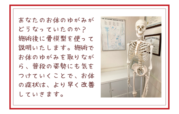 あなたのお体のゆがみがどうなっていたのか？
施術後に骨模型を使って説明いたします。施術でお体のゆがみを取りながら、普段の姿勢にも気をつけていくことで、お体の症状は、より早く改善していきます。