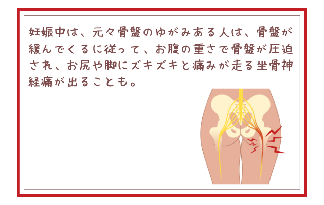 妊娠中は、元々骨盤のゆがみある人は、骨盤が緩んでくるに従って、お腹の重さで骨盤が圧迫され、お尻や脚にズキズキと痛みが走る坐骨神経痛が出ることも。